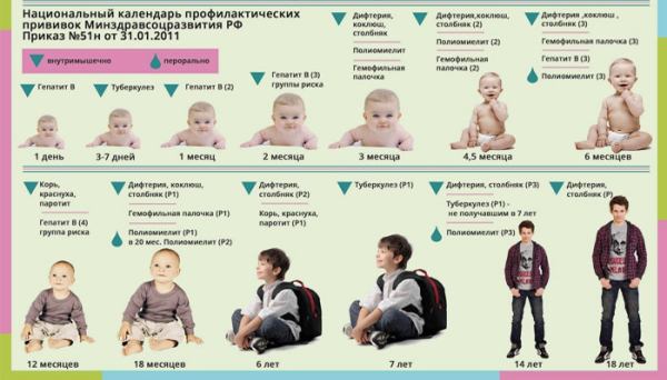 График прививок для детей