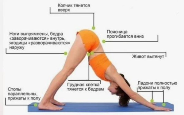 7 поз йоги для исправления искривления позвоночника