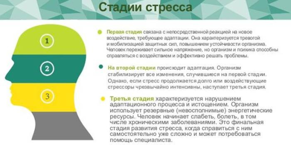 10 способов улучшить память после 50 лет 10 способов улучшить память после 50 лет