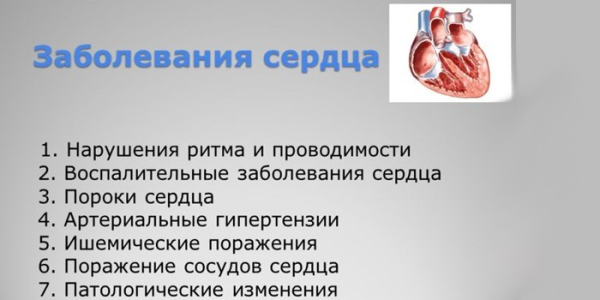 Изменения в сердце после 50 о которых важно знать Изменения в сердце после 50 о которых важно знать