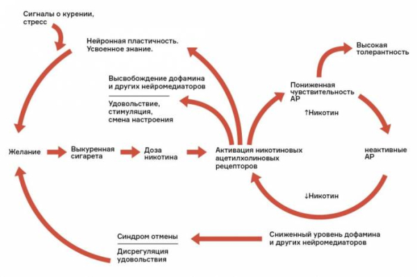 Психосоматика курения сигарет
