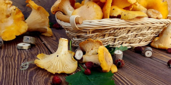 Жареная картошка с лисичками Жареная картошка с лисичками