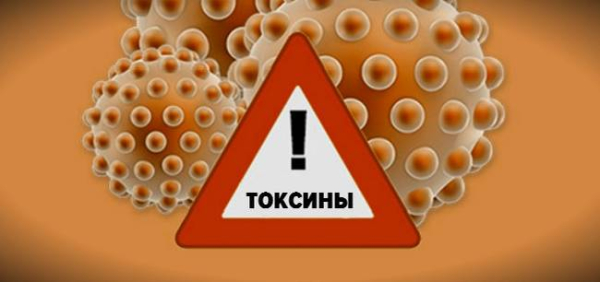 5 возрастных привычек мозга, которые помогают людям предотвратить слабоумие