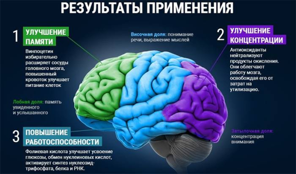 10 способов улучшить память после 50 лет 10 способов улучшить память после 50 лет