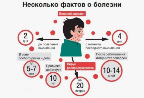 Что такое ветряная оспа
