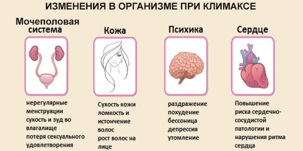 Изменения в сердце после 50 о которых важно знать Изменения в сердце после 50 о которых важно знать