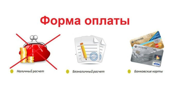 Как пенсионеру-дачнику не лишиться участка по новому закону