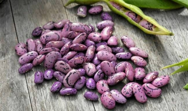 8 продуктов, помогающих справиться с головной болью 8 продуктов, помогающих справиться с головной болью
