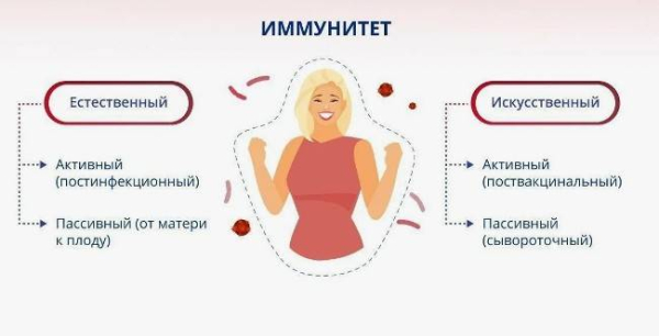 Что делать при слабой иммунной системе